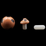 Glasshouse Mushroom Terp Kit